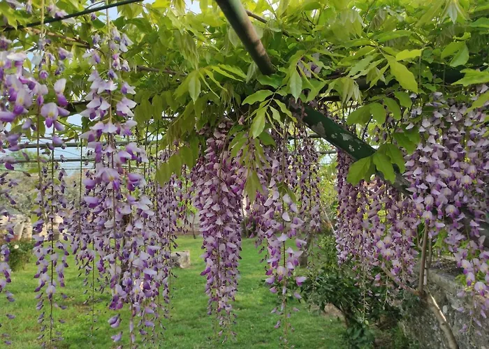 Casa Con Giardino 아파트 Galižana